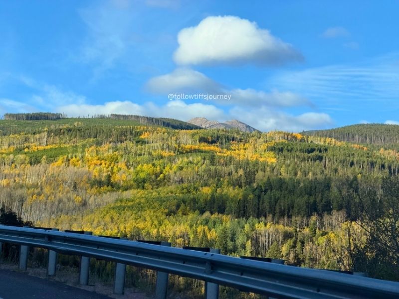 minturn leadville fall colors 2026