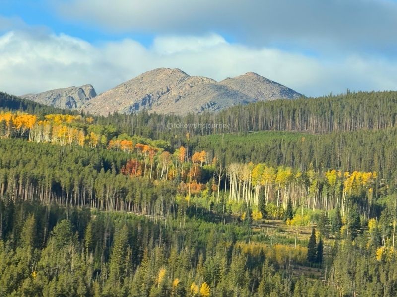 current fall colors 2026
