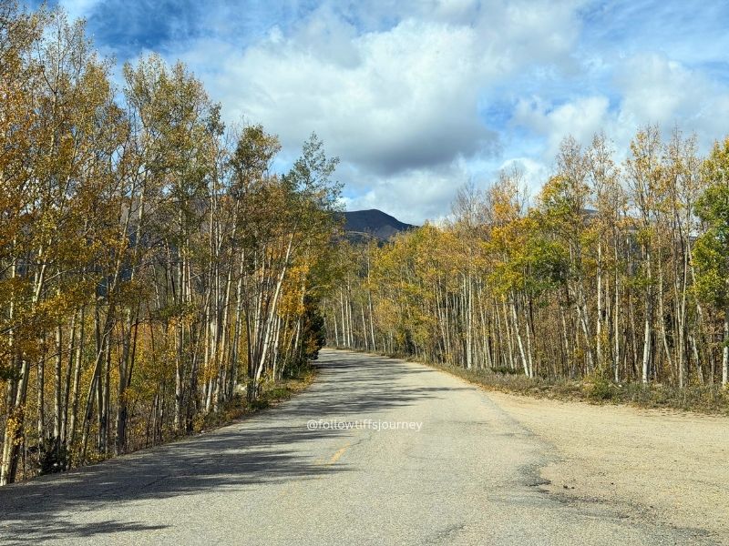 current fall colors 2026