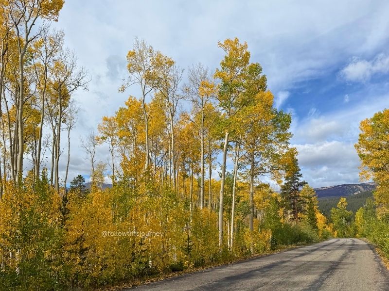 turquoise lake colorado fall colors 2026
