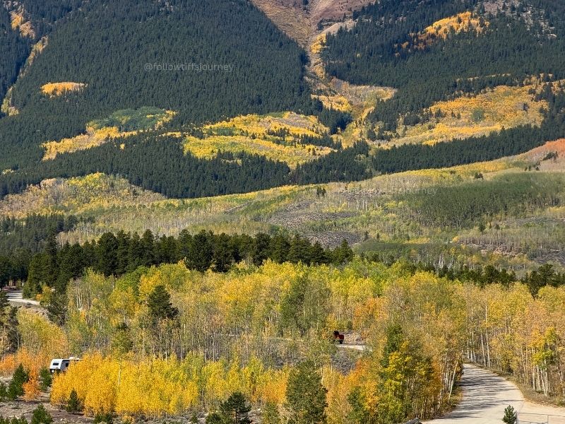 buena vista fall colors 2026