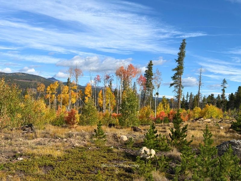 current fall colors 2026