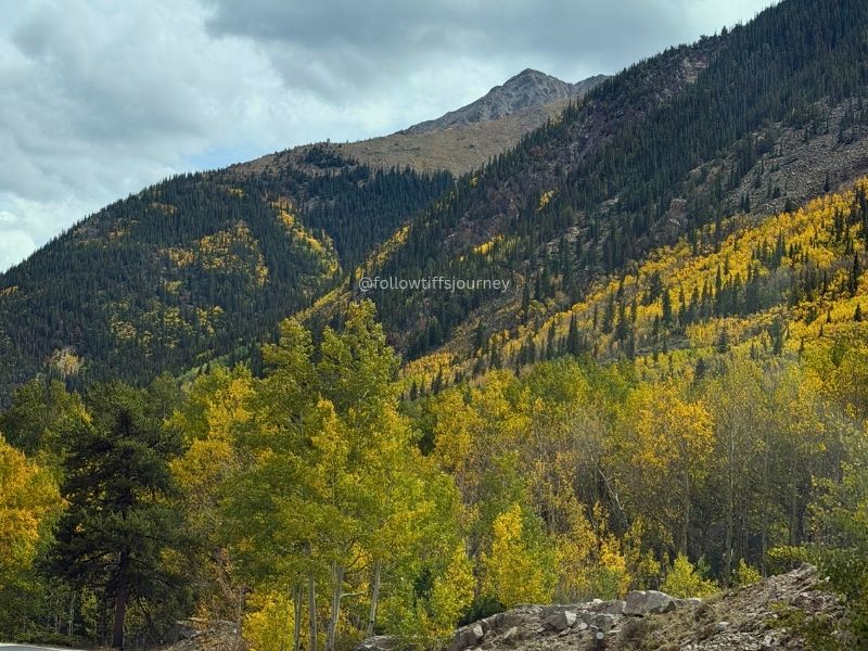 current fall colors in colorado independence pass 2026