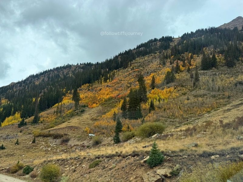 independence pass co fall 2026