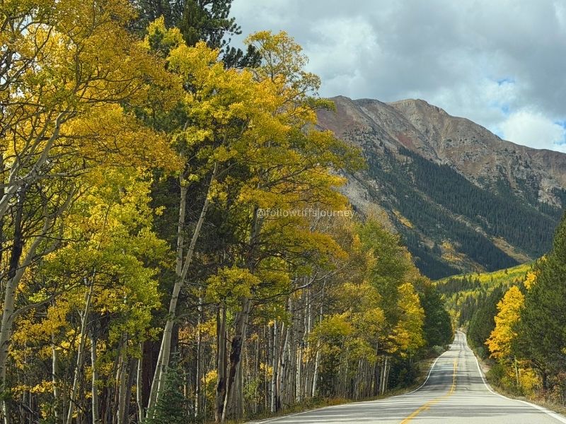 current fall colors in colorado independence pass 2026