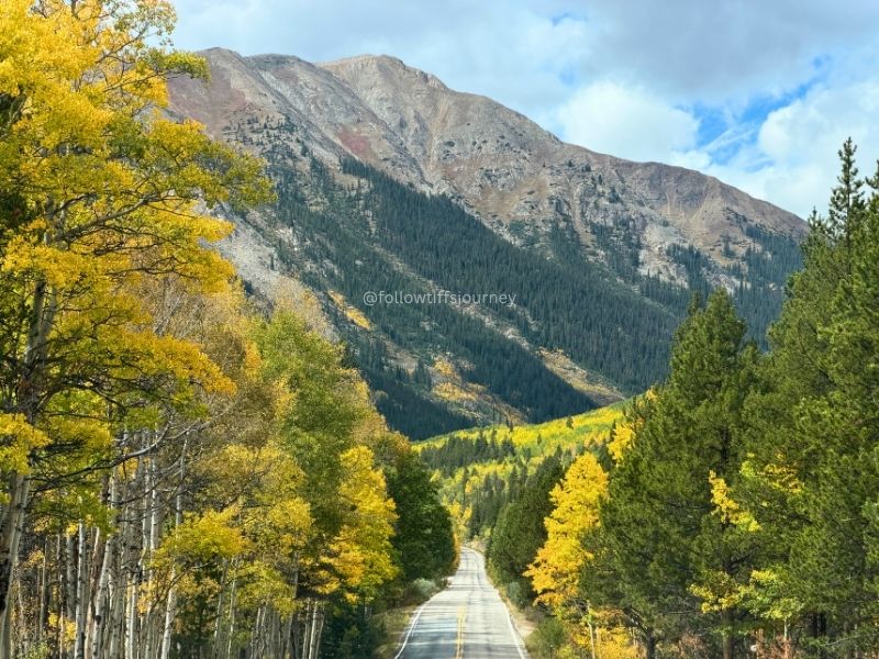 current fall colors in colorado independence pass 2026