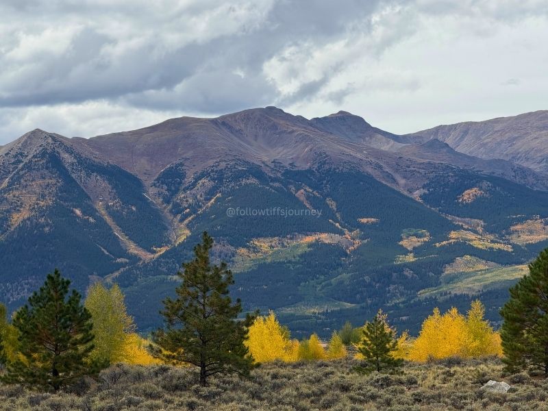 mt elbert fall colors