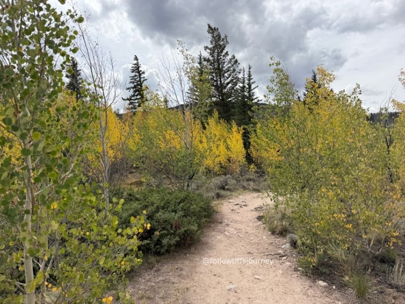 interlaken trail in twin falls buena vista colorado fall colors 2026