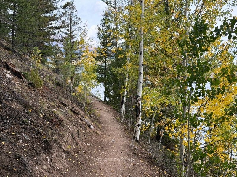 interlaken trail in twin falls buena vista colorado fall colors 2026