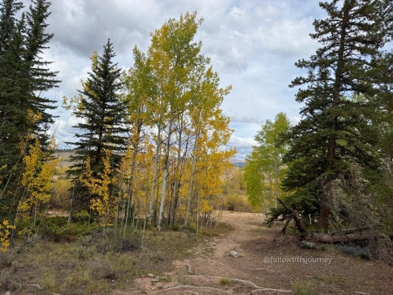 interlaken trail in twin falls buena vista colorado fall colors 2026