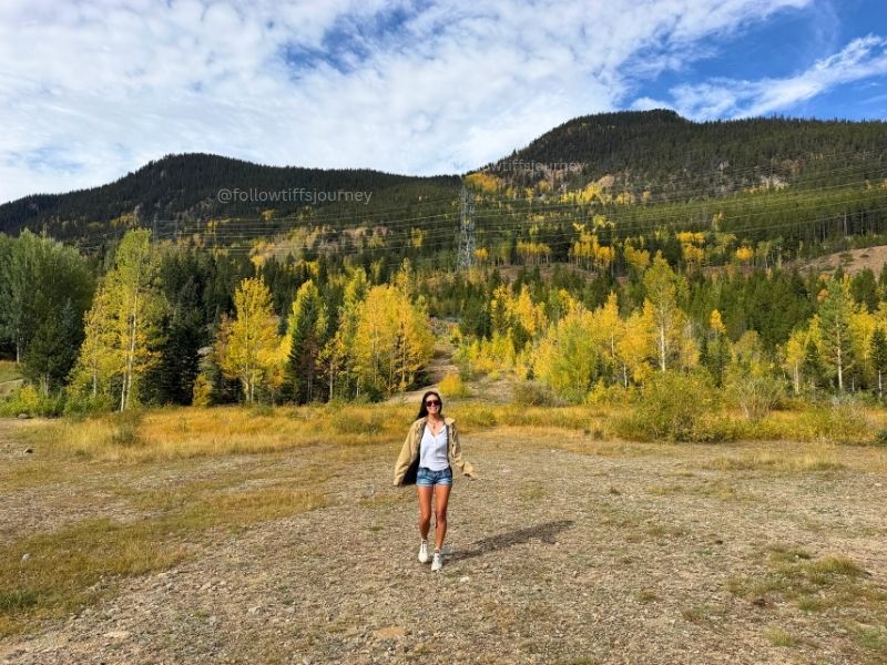 guanella pass fall colors update 2026