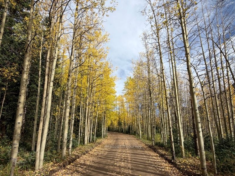 guanella pass fall colors update 2026