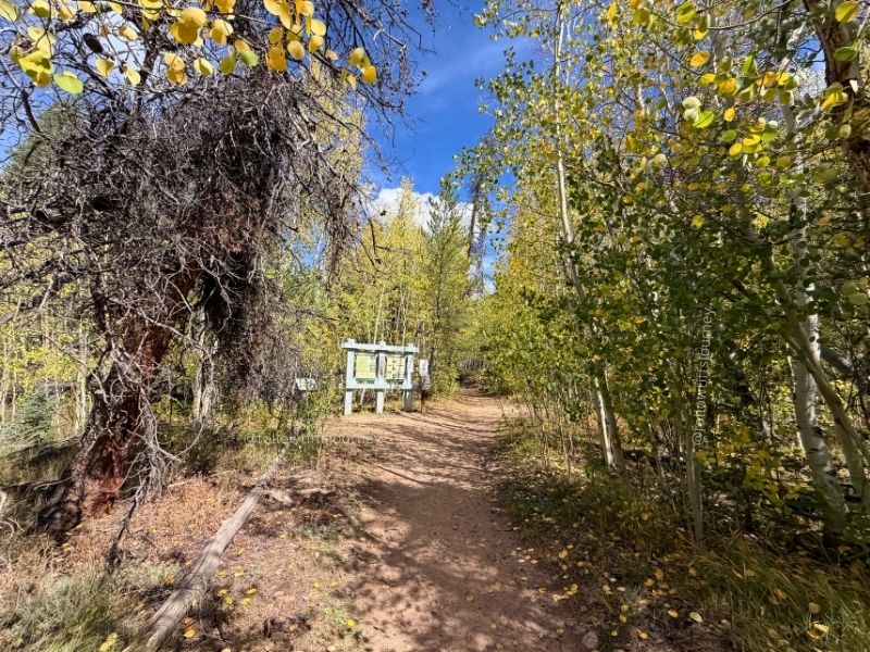 abyss trailhead fall colors 2026 update