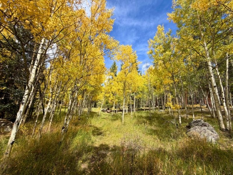 abyss trailhead fall colors 2026 update
