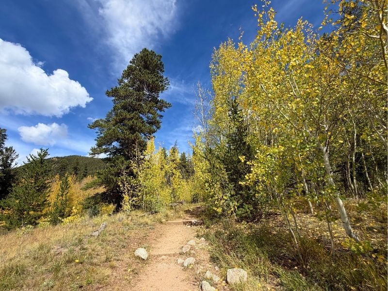 abyss trailhead fall colors 2026 update