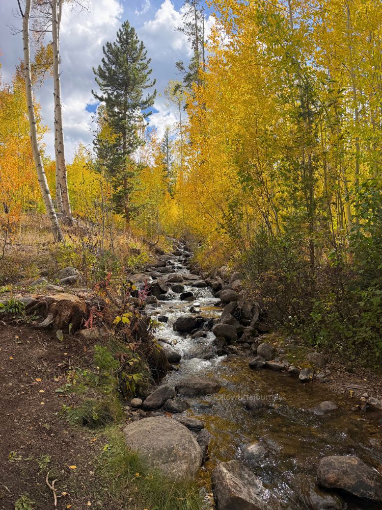 colorado fall colors right now 2026
