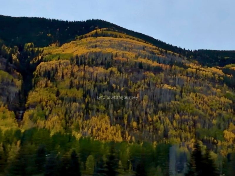 vail fall colors colorado 2026