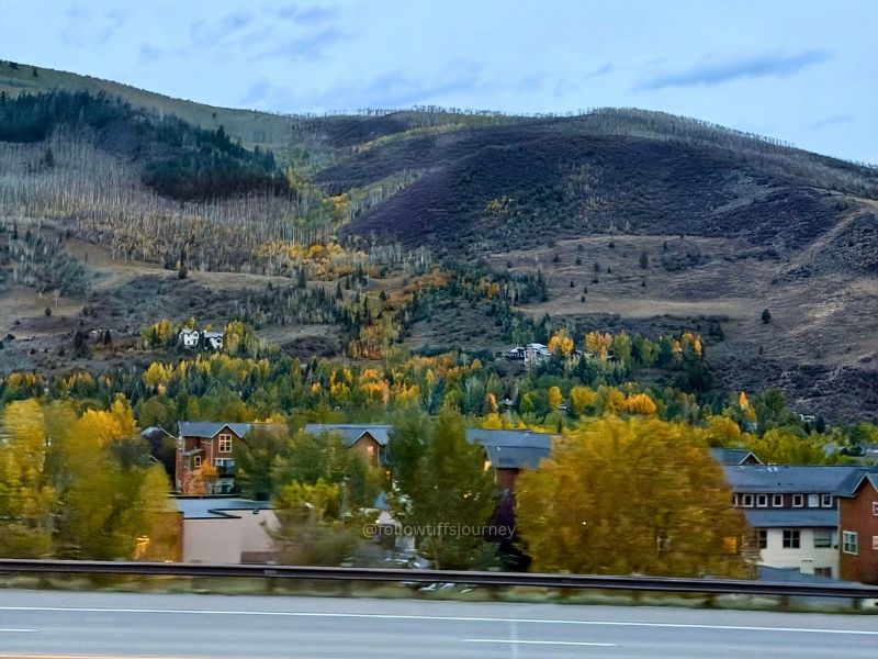 fall colors in edwards colorado