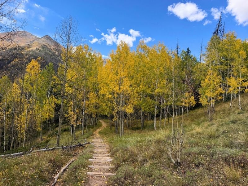 where to see fall colors in colorado right now