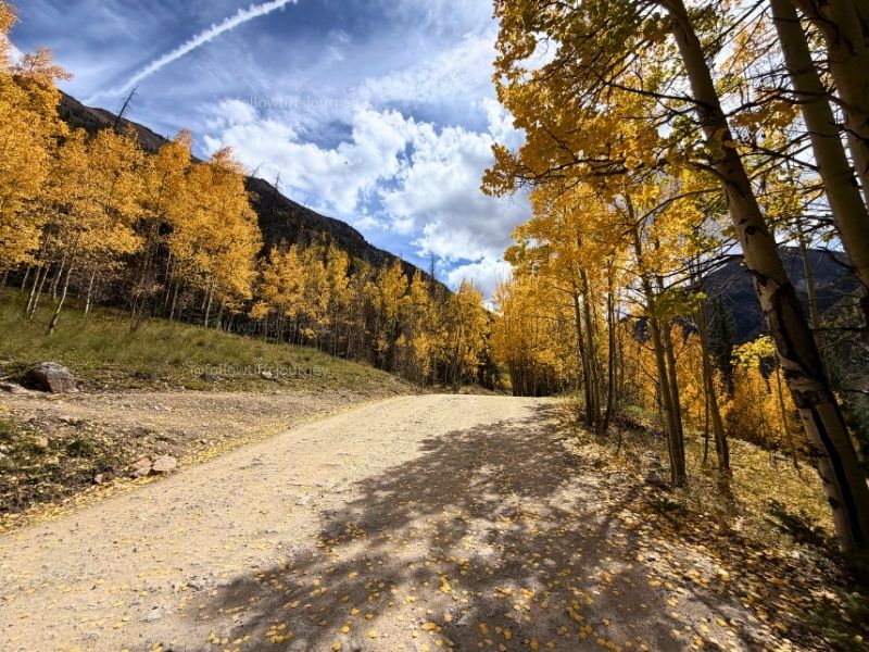 where to see fall colors in colorado right now