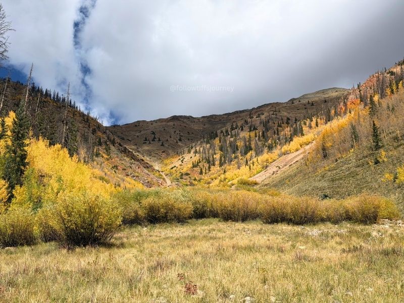 best fall foliage 2026 colorado